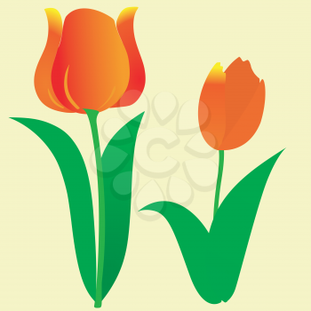 the colored simple abstract background with tulip