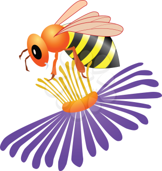 Colored illustration of bee on white background