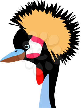 Illustration of crowned crane