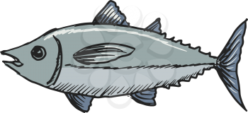 hand drawn, sketch, cartoon illustration of tuna