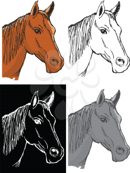 Editable vector illustrations in variations, bay horse
