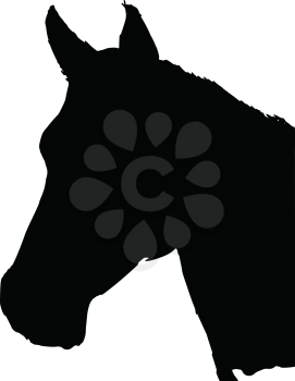 black silhouette of horse