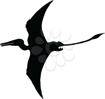 black silhouette of pterodactyl