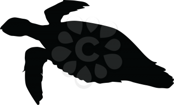 silhouette of sea turtle