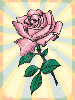 vintage, grunge background with rose