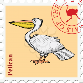 vector, post stamp with pelican, bird, wildlife motive