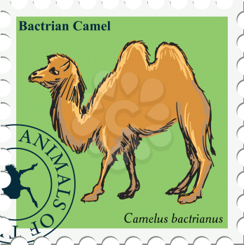 vector, post stamp with camel