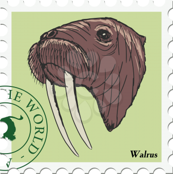 vector, post stamp with walrus