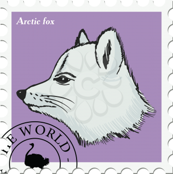 vector, post stamp with arctic fox