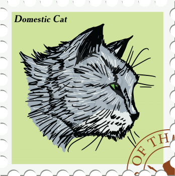 vector, post stamp with cat