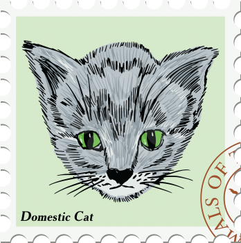 vector, post stamp with kitten