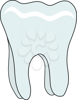 vector illustration of human tooth