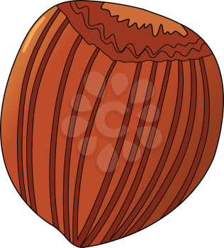 vector illustration of hazelnut, health food