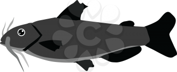 silhouette of catfish
