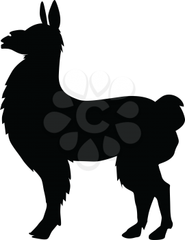 silhouette of lama
