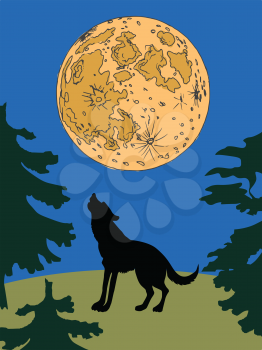 silhouette of wolf at night