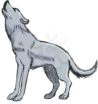 vector, coloured, sketch, hand drawn image of howling wolf