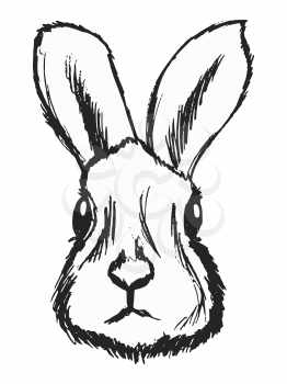 Vector, hand drawn, sketch, cartoon illustration of hare. Front view.
Motives of wildlife, forest animals, European and North American woods, symbol of cowardice, zoology