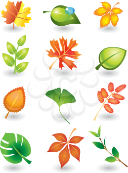 Royalty Free Clipart Image of a Set of Autumn Leafs