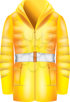 Female winter jacket isolated on white. Vector
