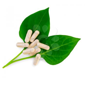 Royalty Free Photo of Capsules on a Leaf