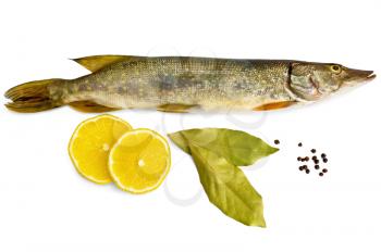 Fresh fish, two slices of lemon, two bay leaves, black pepper isolated on white background
