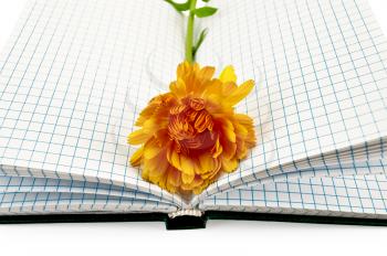 Opened notebook with yellow marigold flower isolated on a white background