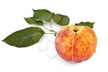 A peach with green leaves isolated on white background