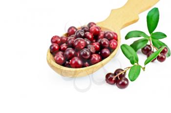 Berry lingonberry in a wooden spoon, two branches with berries and green leaves isolated on white background