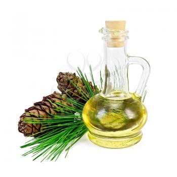 Cedar oil in a glass bottle, a sprig of cedar with two cones isolated on white background
