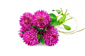 Bouquet of pink clover, tied with a rope isolated on white background