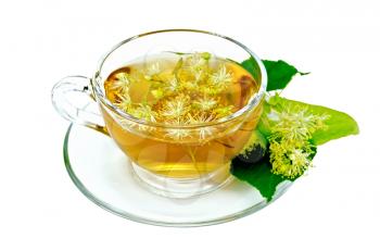 Herbal tea in a glass cup, fresh linden flowers isolated on a white background