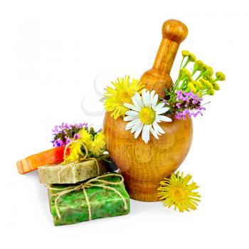 Three pieces of homemade soap, a wooden mortar with chamomile, tansy, elecampane isolated on white background