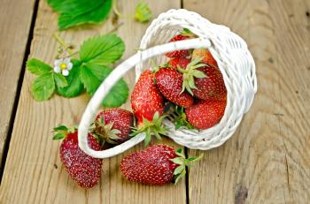 Ripe red strawberries poured from a white wicker basket, flowers and strawberry leaves on the background of wooden boards