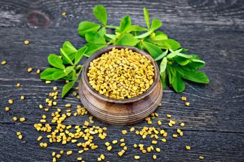 Fenugreek seeds in a bowl and on a table with green leaves against a black wooden board
