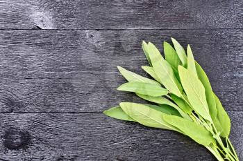 Bunch of leaves of fresh green sage on a black wooden background