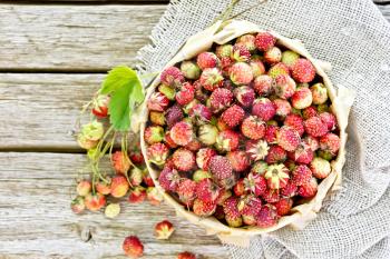 Wild ripe strawberries in a birch bark box with parchment, burlap on the background of old wooden planks from above