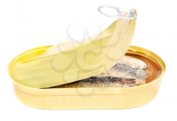 Royalty Free Photo of a Can of Sardines