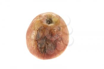 Royalty Free Photo of a Rotten Apple