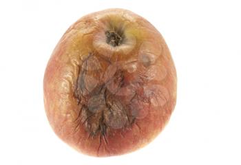 Royalty Free Photo of a Bruised Apple