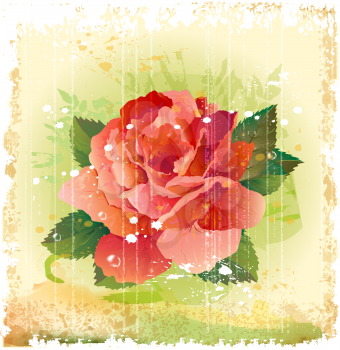 Royalty Free Clipart Image of a Red Rose Illustration