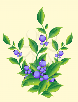 Royalty Free Clipart Image of Berries on a Plant