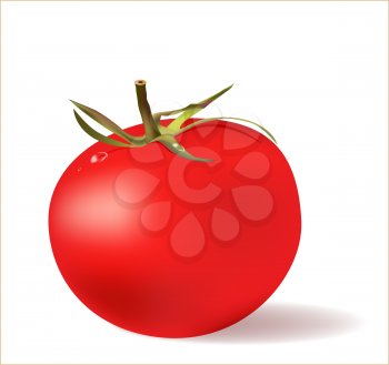 Royalty Free Clipart Image of a Tomato