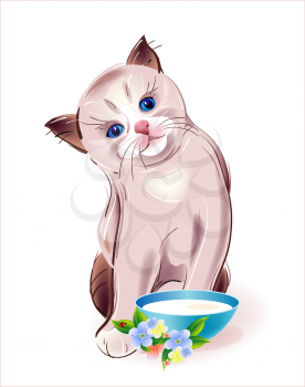 Royalty Free Clipart Image of a Kitten