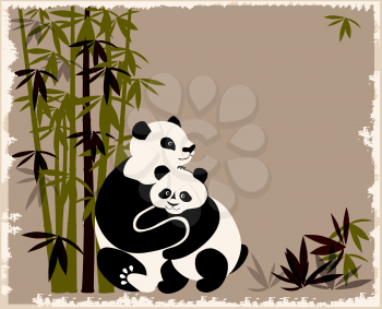 pandas family in the bamboo forest