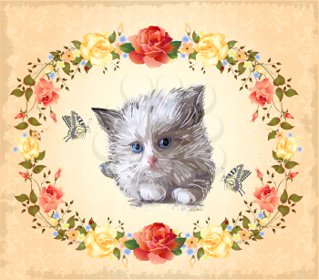 greeting card with kitten, roses and butterflies