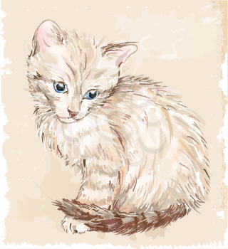hand drawn portrait of the kitten 