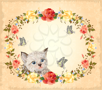 greeting card with kitten, roses and butterflies