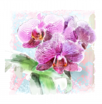 watercolor illustration of orchid brunch
