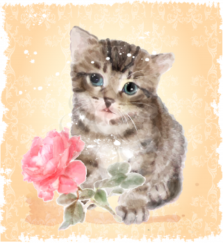Fluffy kitten with rose.  Vintage postcard.  Imitation of watercolor painting.